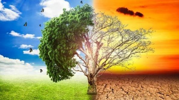 Isu Perubahan Iklim Perlu Dikenalkan Sejak Dini